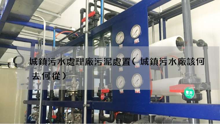 城鎮污水處理廠污泥處置(城鎮污水廠該何去何從)